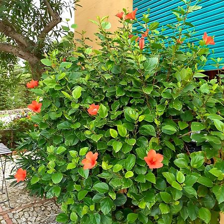 Casa "Le Terrazze" Βίλα Erice Εξωτερικό φωτογραφία