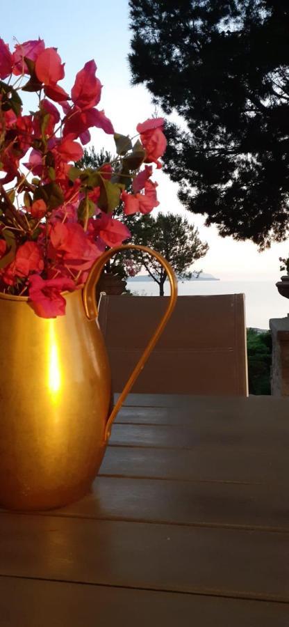 Casa "Le Terrazze" Βίλα Erice Εξωτερικό φωτογραφία