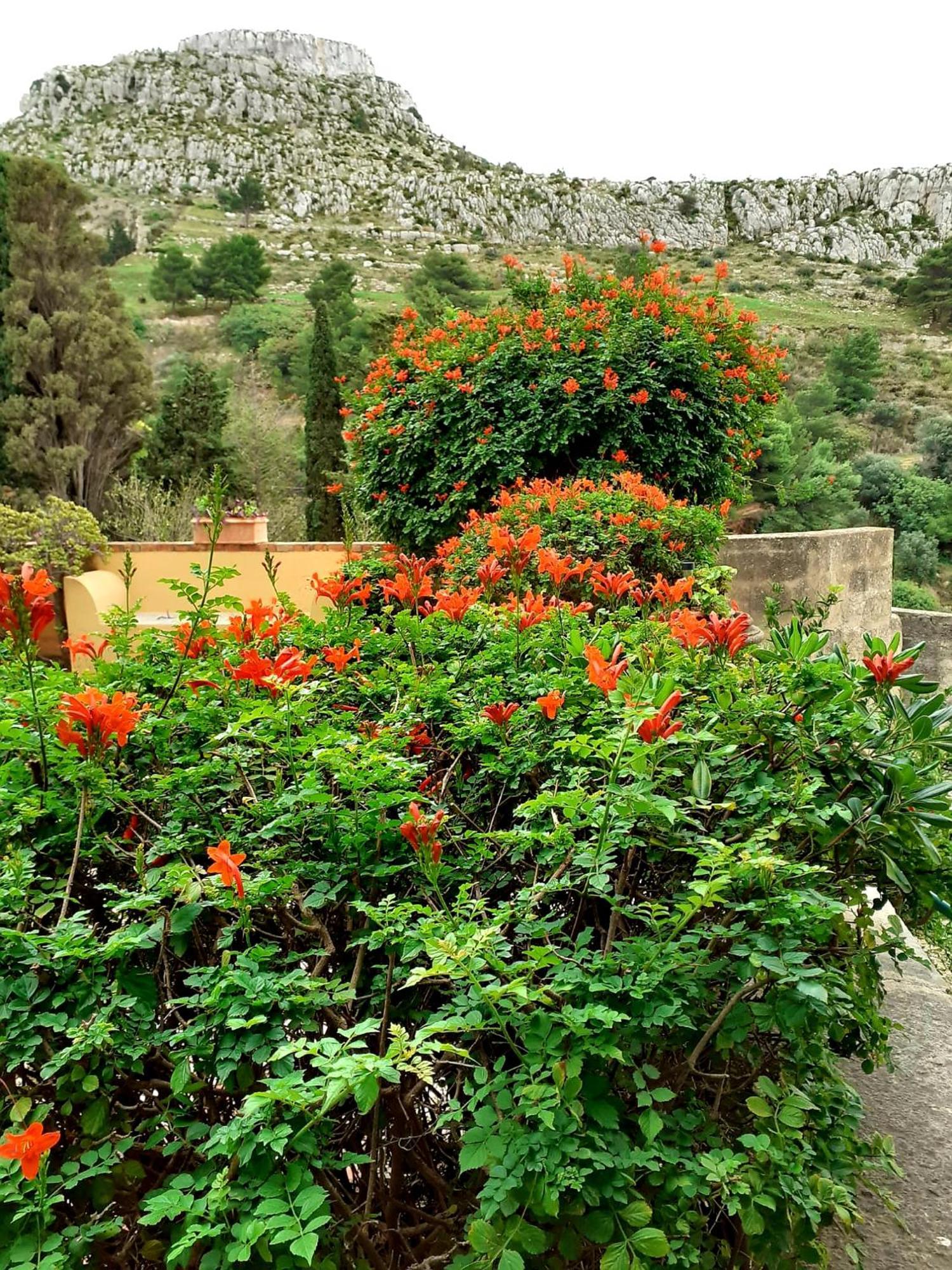 Casa "Le Terrazze" Βίλα Erice Εξωτερικό φωτογραφία
