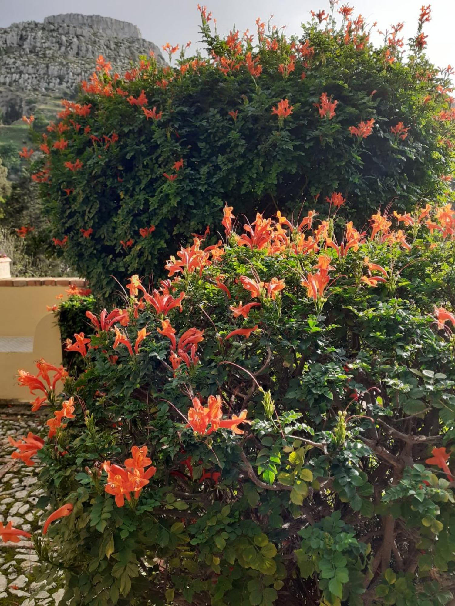 Casa "Le Terrazze" Βίλα Erice Εξωτερικό φωτογραφία