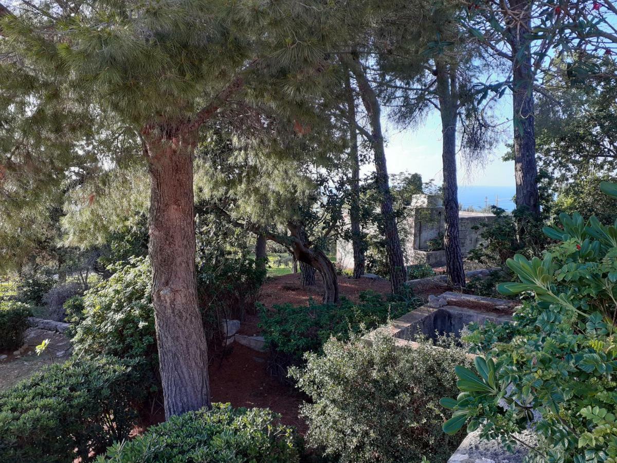 Casa "Le Terrazze" Βίλα Erice Εξωτερικό φωτογραφία